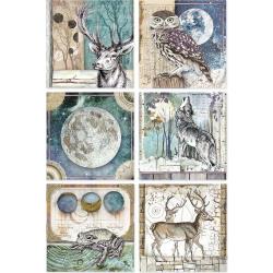 Stamperia Rice Paper Sheet A4 Cosmos Cards