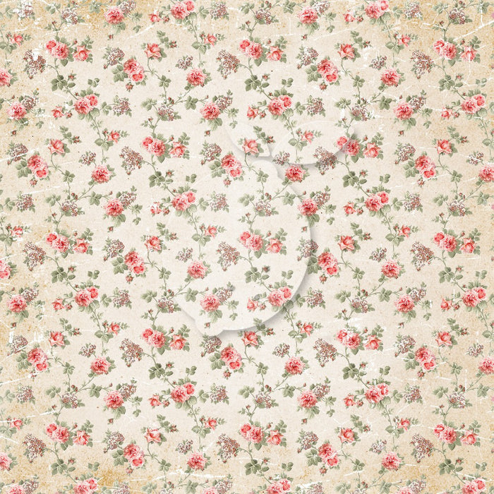 Double Sided Scrapbooking Paper - Sense and Sensibility 04